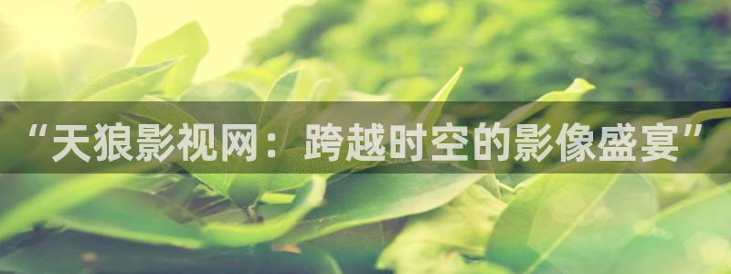 秋霞影院被窝影院在线观看